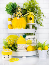 Load image into Gallery viewer, Chunky Lemon Sitter - Asst.