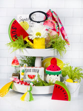 Load image into Gallery viewer, Chunky Watermelon Slice