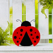 Load image into Gallery viewer, Lily Ladybug
