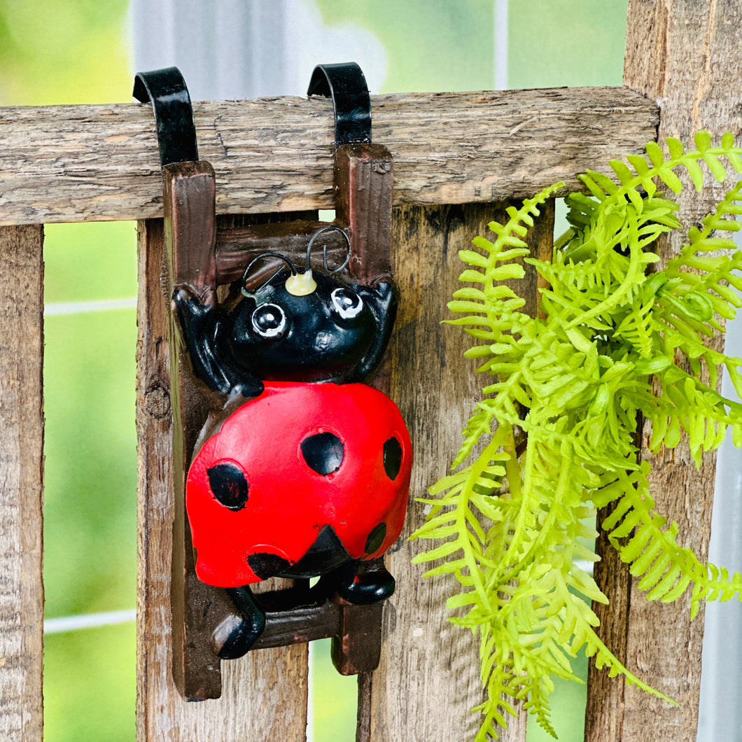 plant pot huggers Ladybug Pot Hugger – Bobbi's Lane