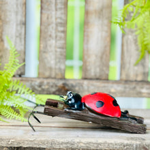 Load image into Gallery viewer, Ladybug Pot Hugger

