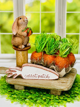 Load image into Gallery viewer, Garden Helper Bunnies
