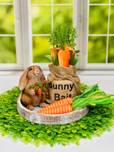 Load image into Gallery viewer, Garden Helper Bunnies

