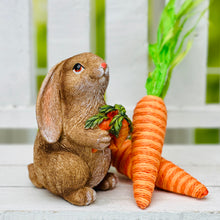Load image into Gallery viewer, Garden Helper Bunnies
