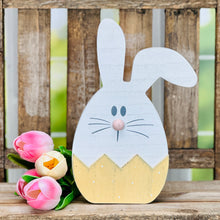 Load image into Gallery viewer, Bitsy Bunny
