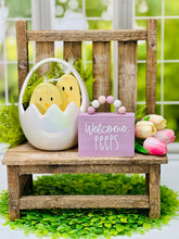 Load image into Gallery viewer, Baby Chicks | Set of 2
