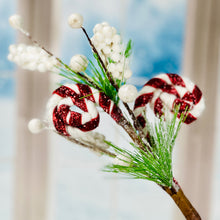 Load image into Gallery viewer, Candy Cane Berry Pick
