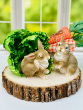 Load image into Gallery viewer, Patterned Carrots
