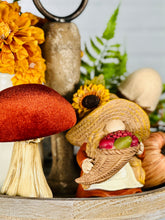 Load image into Gallery viewer, Velvet Mushrooms
