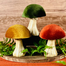 Load image into Gallery viewer, Velvet Mushrooms
