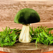 Load image into Gallery viewer, Velvet Mushrooms
