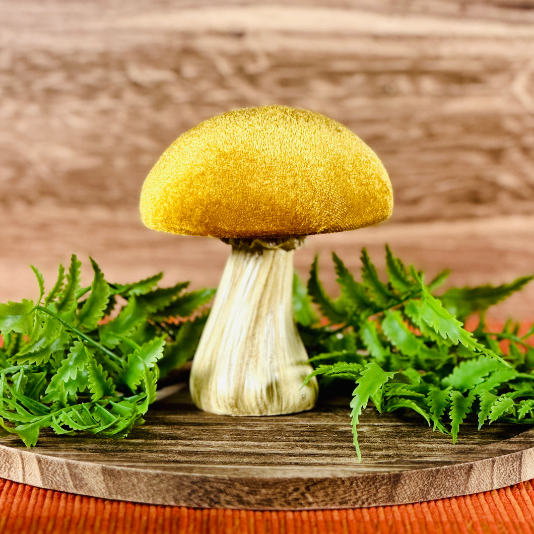 Velvet Mushrooms