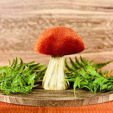 Load image into Gallery viewer, Velvet Mushrooms
