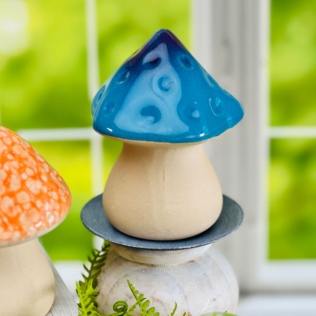 Glazed Ceramic Mushrooms