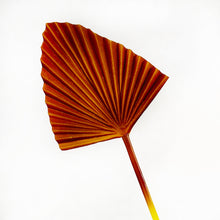 Load image into Gallery viewer, Fall Fan Pick
