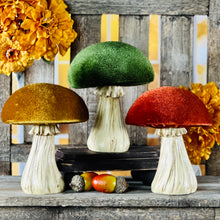 Load image into Gallery viewer, Velvet Mushrooms
