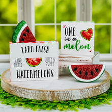Load image into Gallery viewer, Farm Fresh Watermelon Block
