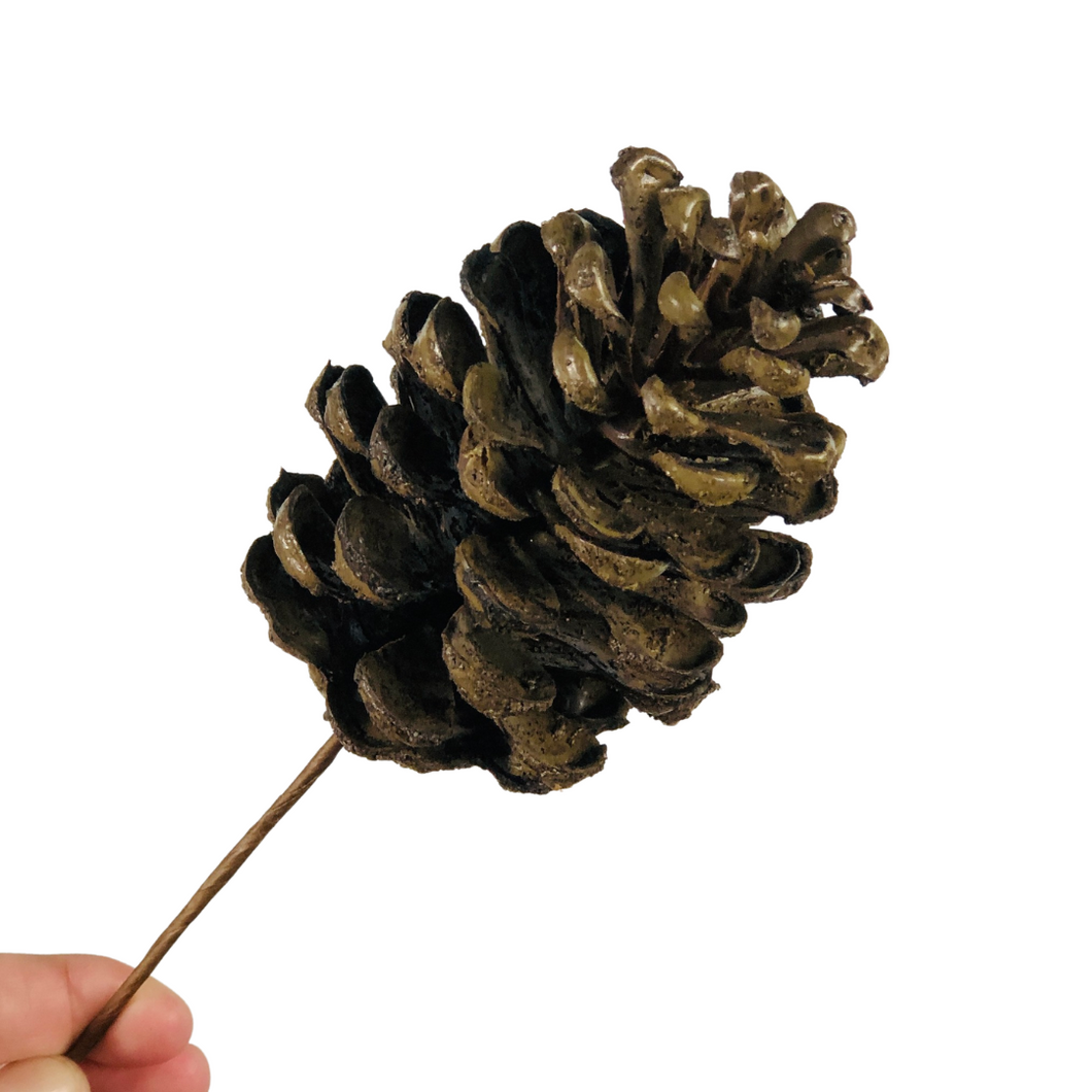 Pine Cone Pick