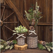 Load image into Gallery viewer, Willow Bottle - Large
